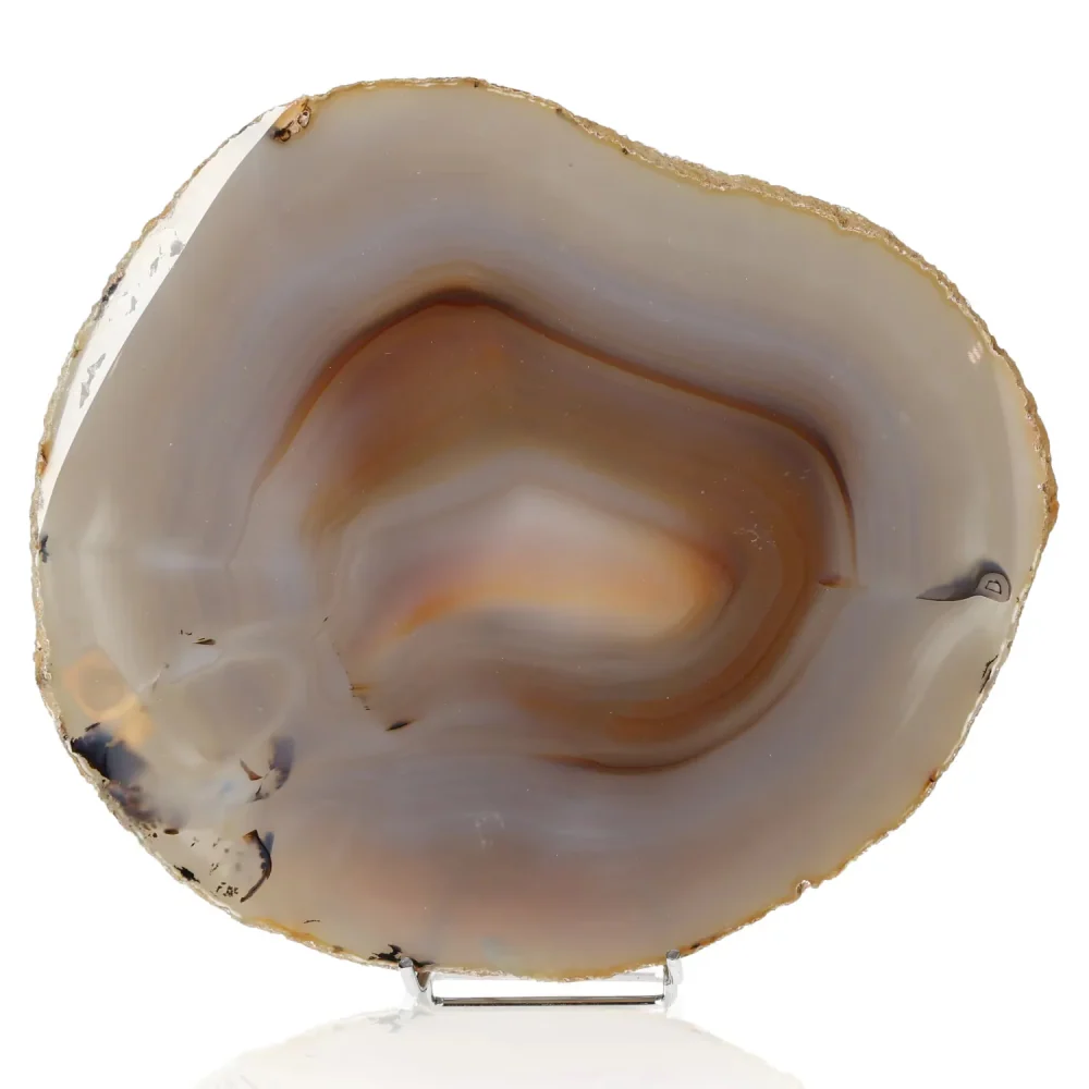 Polished Agate Slice Brown and beige. 001485