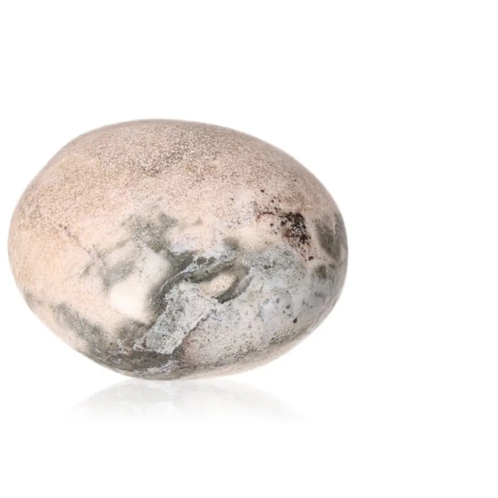 Tumbled Jasper 076142