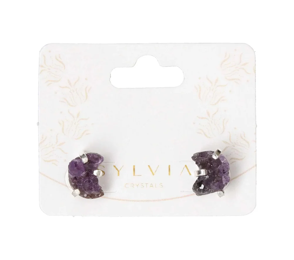 Amethyst Moon Cluster Claw Earrings Silver 604550 P30