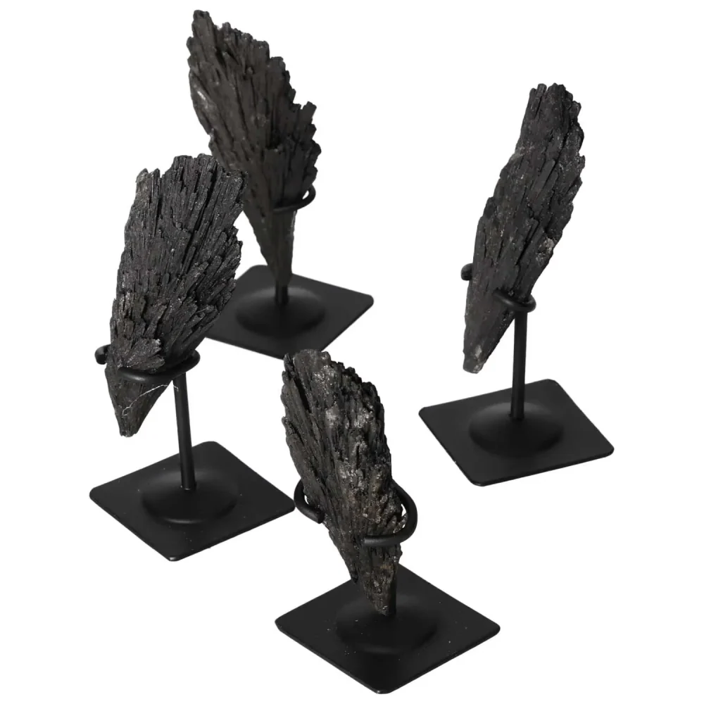 Black Kyanite On a Metal Stand 576000 - Image 11