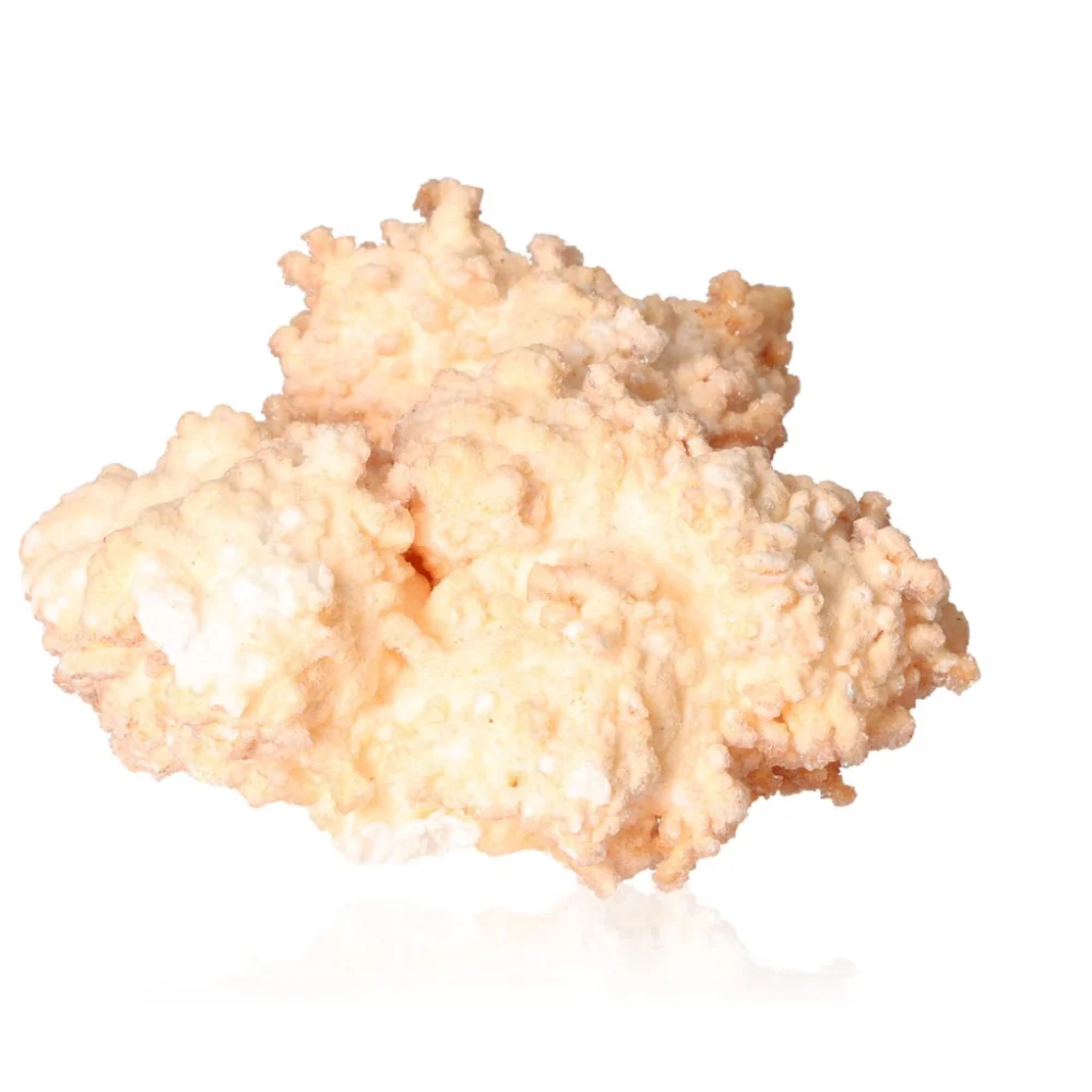 Cave Calcite Stalactite Cluster 525770 - Image 3