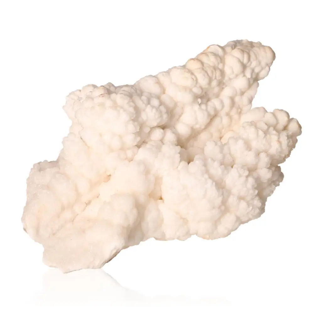 Cave Calcite Stalactite Cluster 533508 - Image 2
