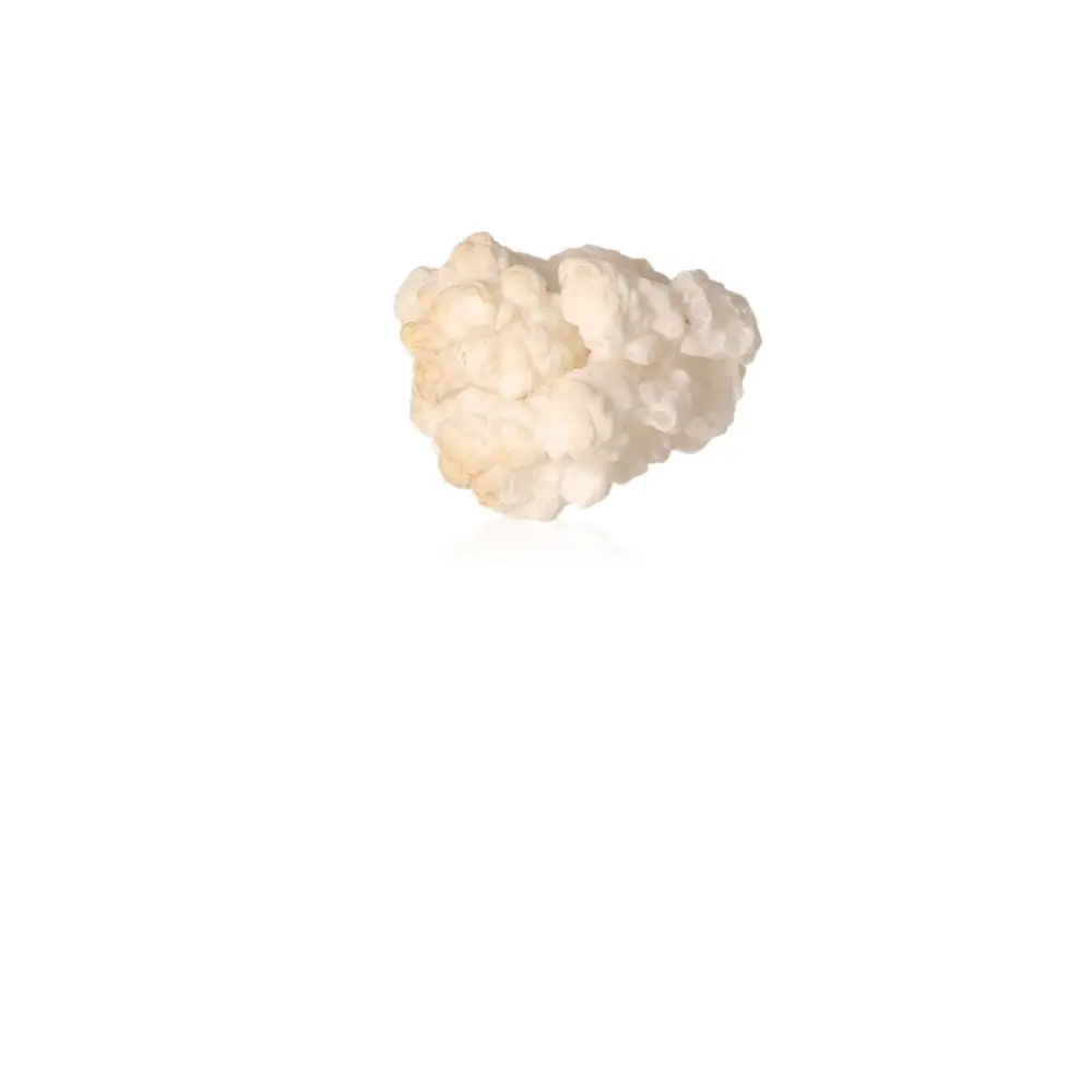 Cave Calcite Stalactite Cluster 533706 - Image 2