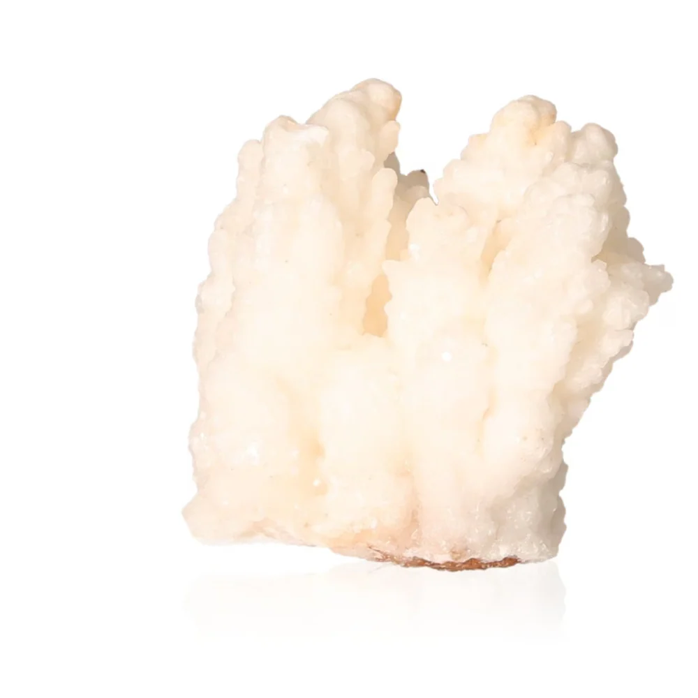 Cave Calcite Stalactite Cluster 533843 - Image 3