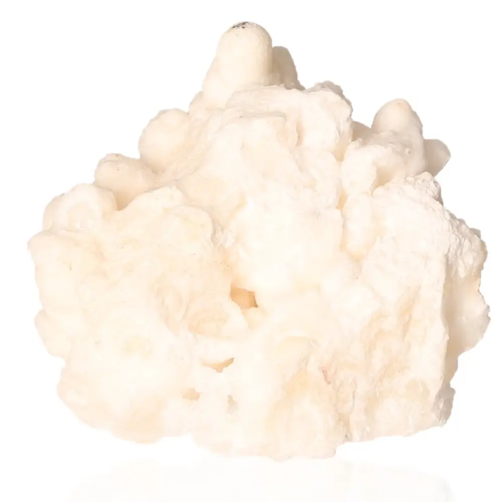 Cave Calcite Stalactite Cluster 533898 - Image 2