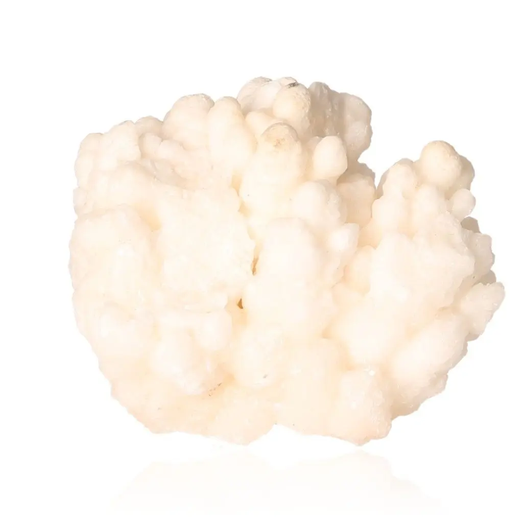 Cave Calcite Stalactite Cluster 533935 P30 533935