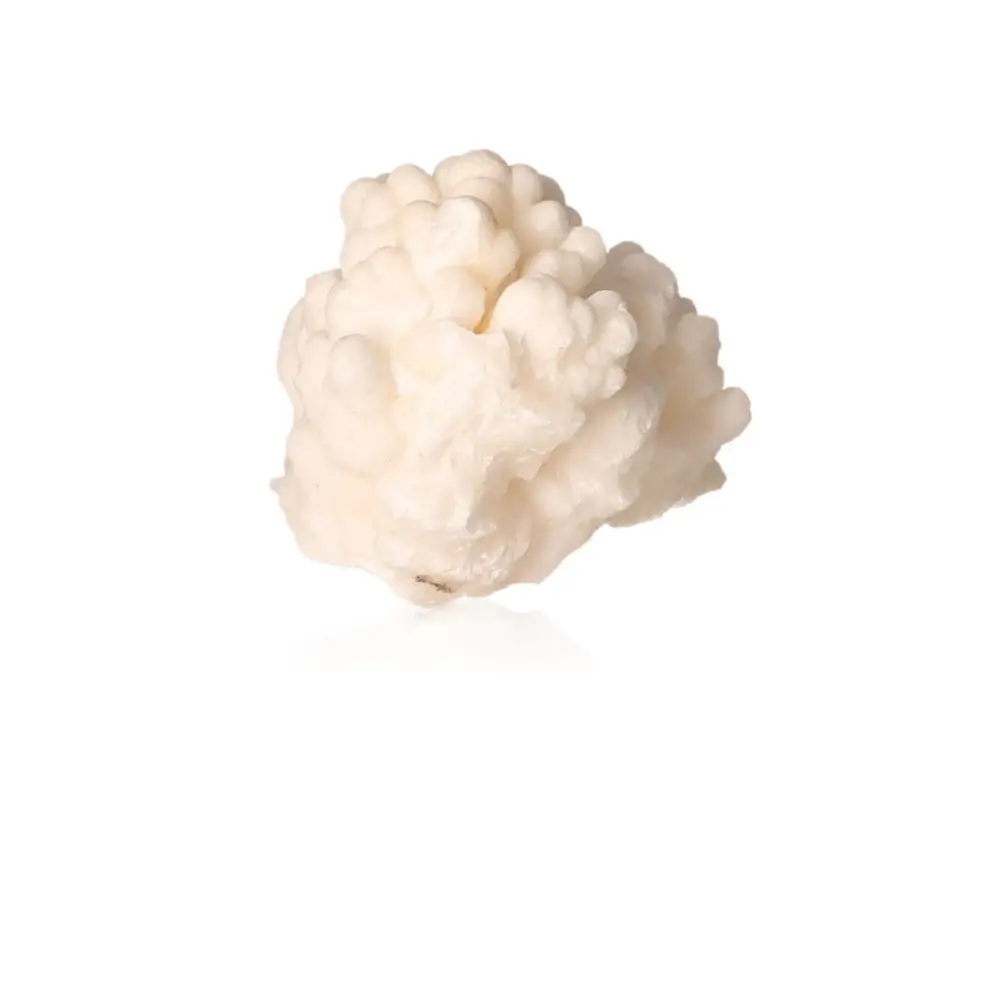 Cave Calcite Stalactite Cluster 534147 - Image 2