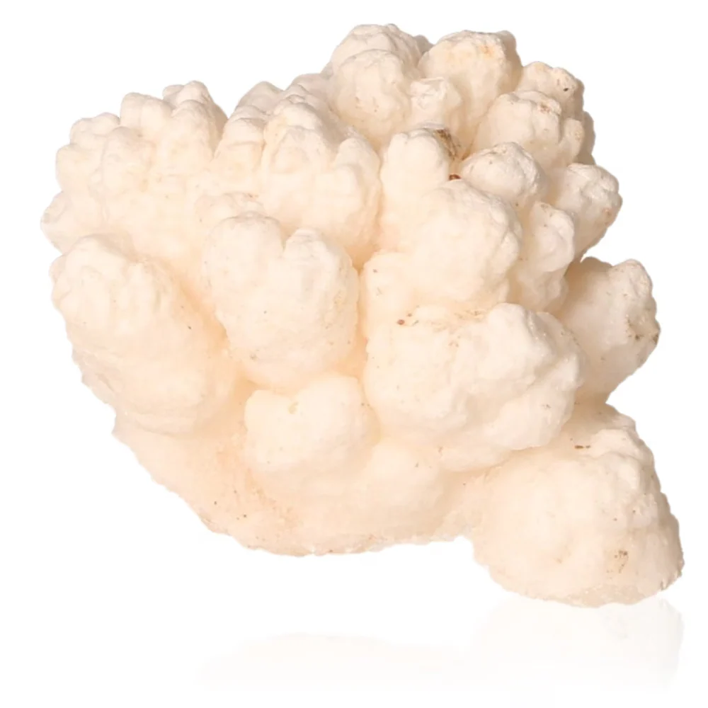 Cave Calcite Stalactite Cluster 534192 - Image 3