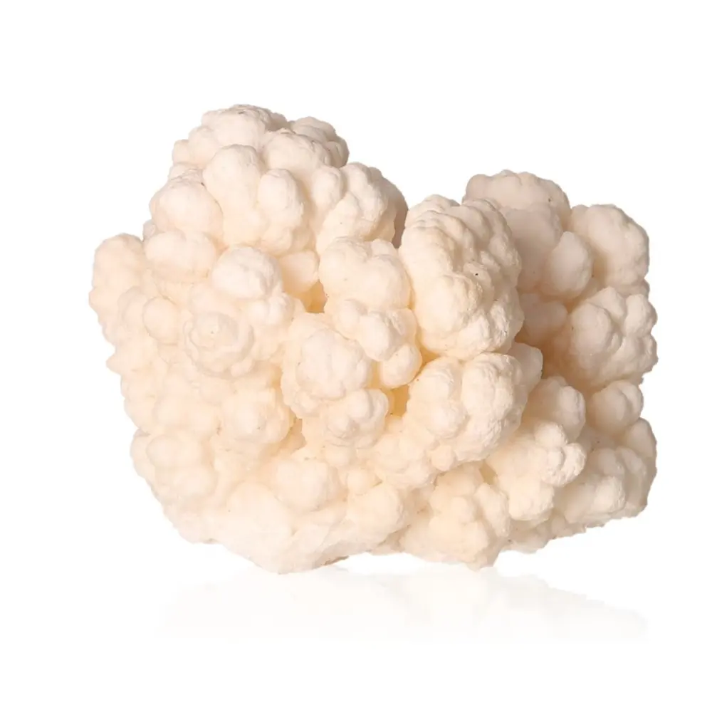 Cave Calcite Stalactite Cluster 534208