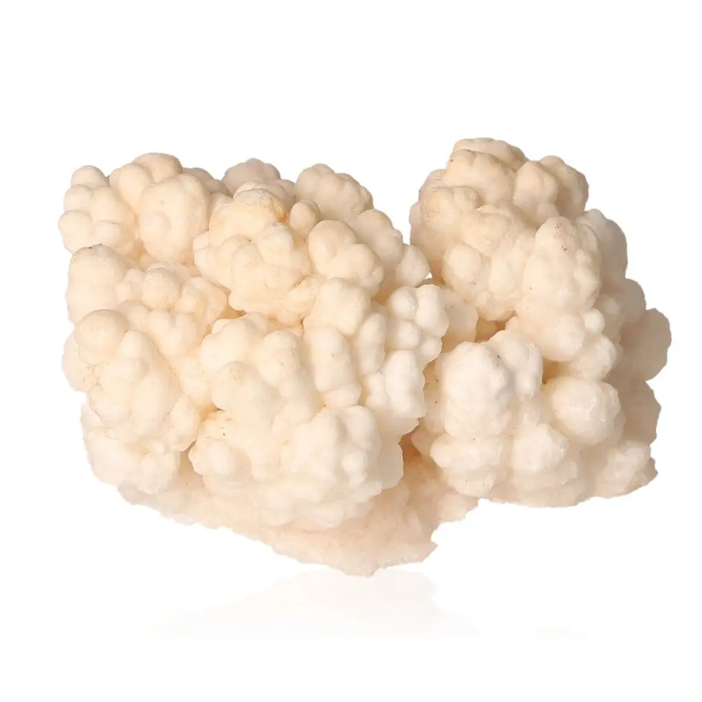 Cave Calcite Stalactite Cluster 534277