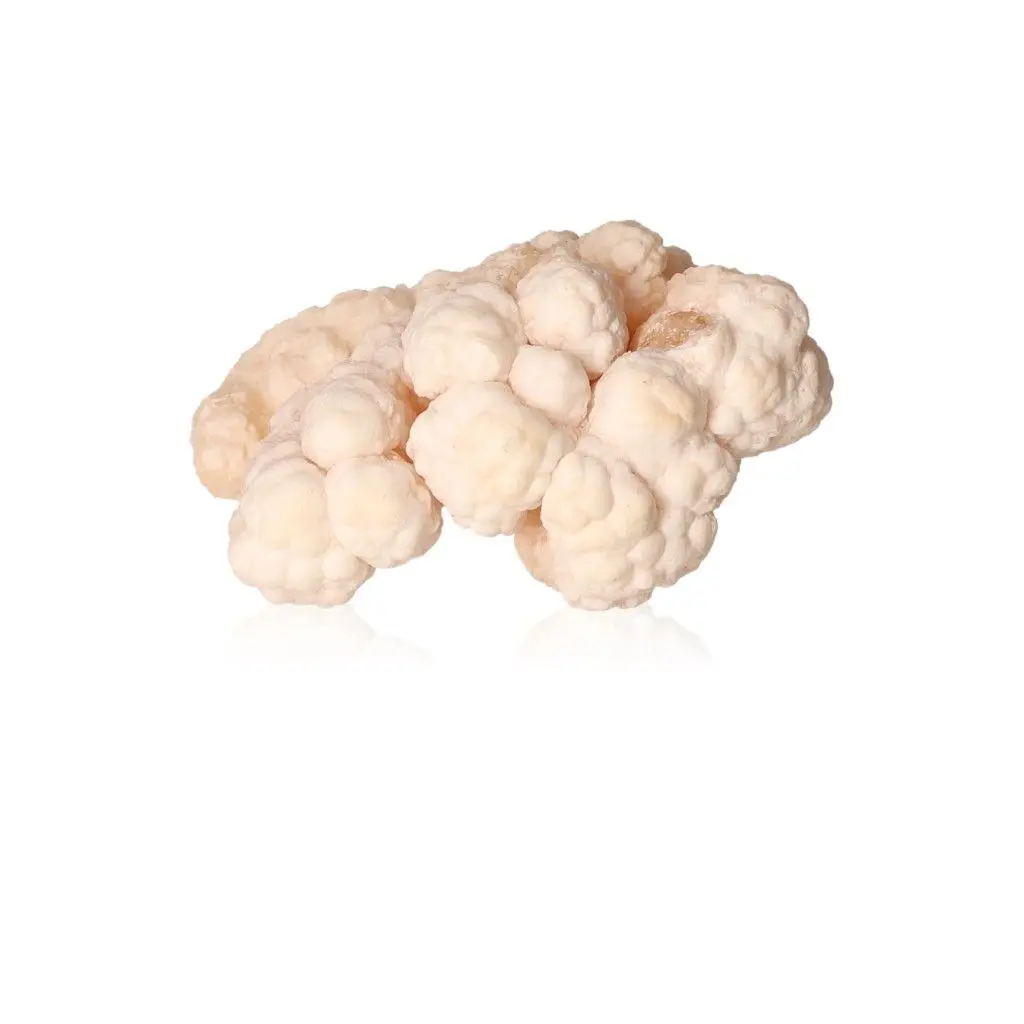Cave Calcite Stalactite Cluster 534550