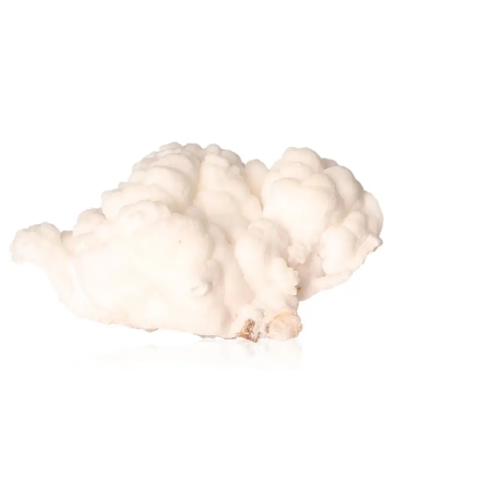 Ighoud Calcite Druze 535786 - Image 2
