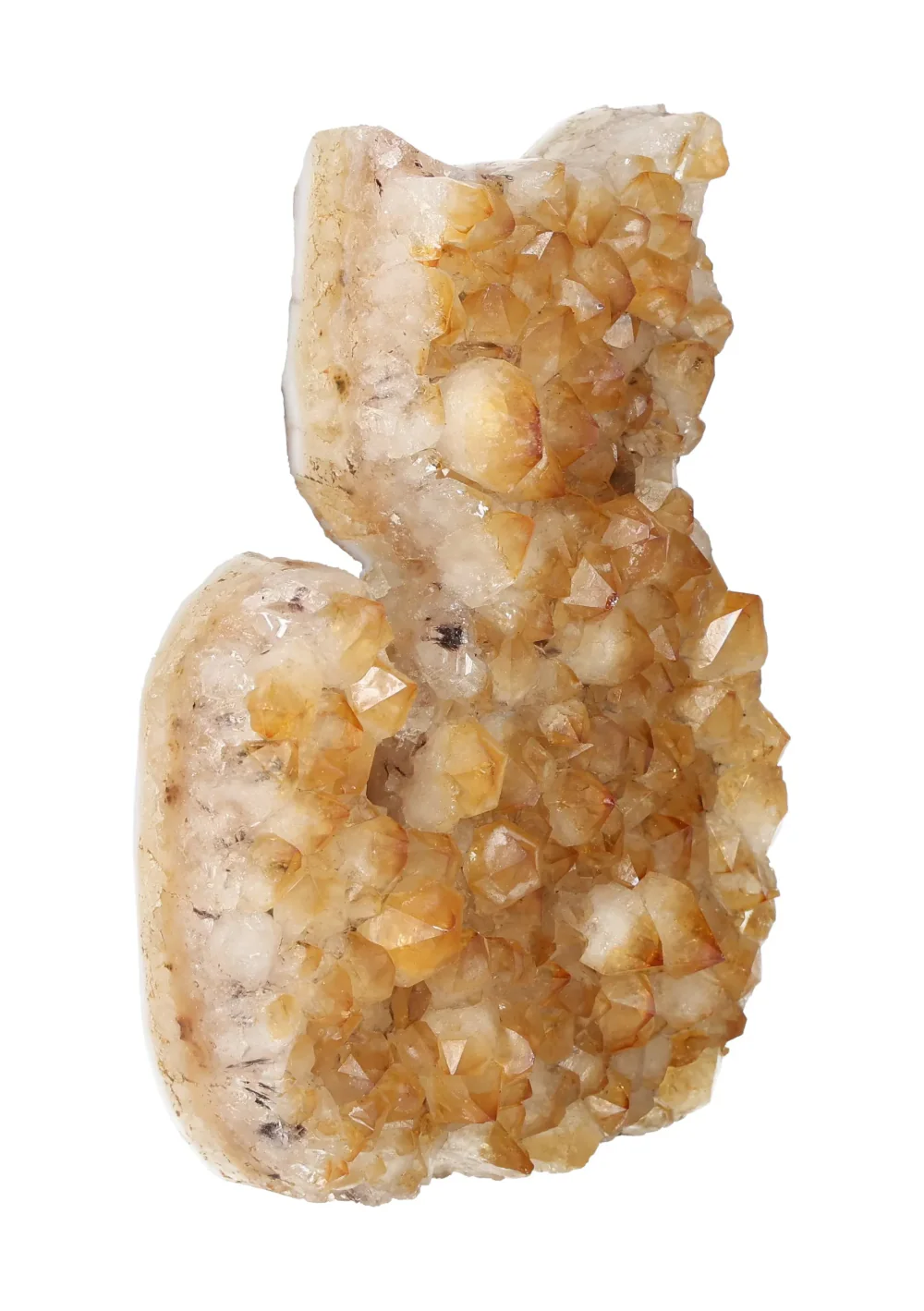 Citrine Cat 640541 - Image 3