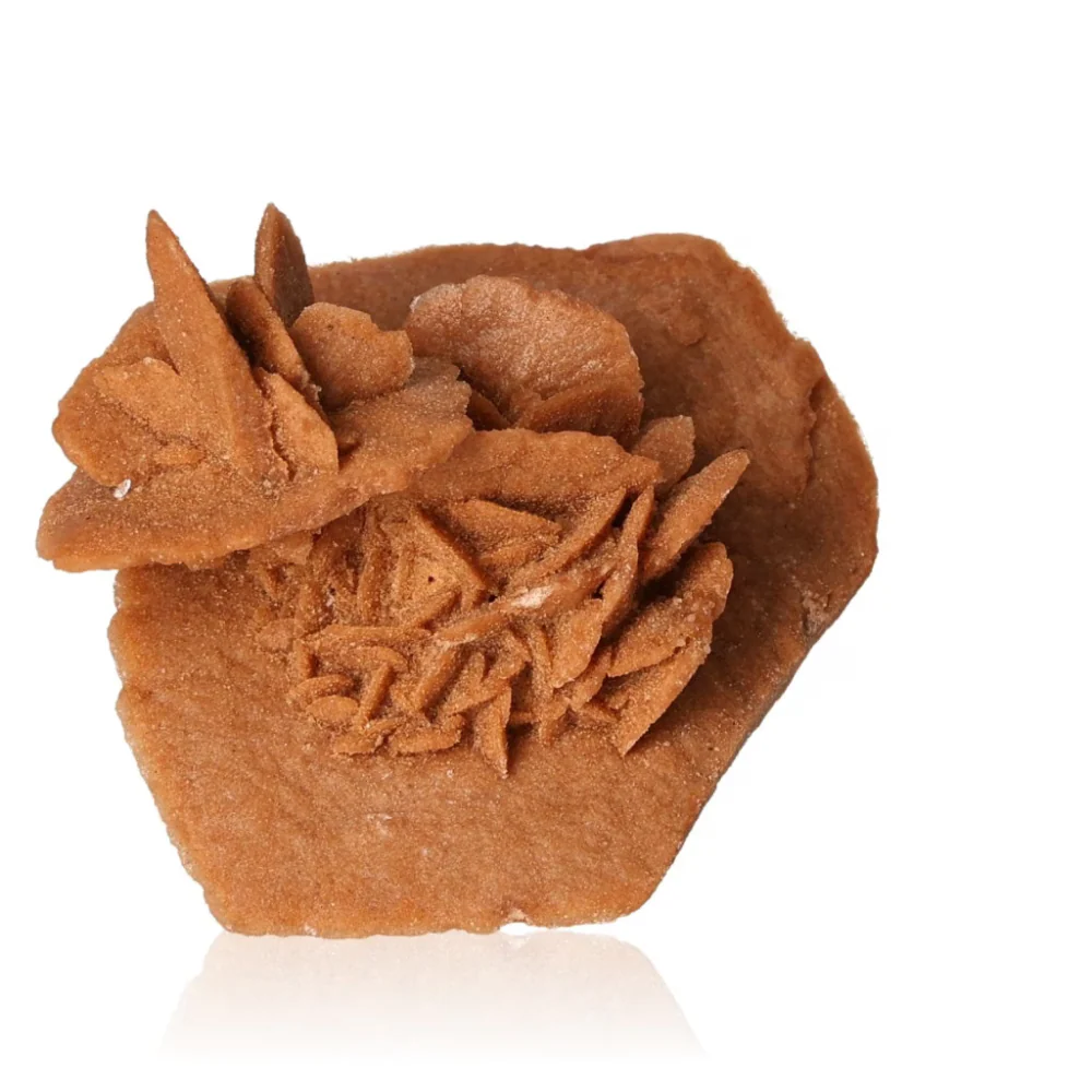 Desert Rose 526944 - Image 3