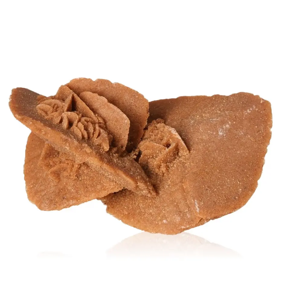 Desert Rose 526968 - Image 2