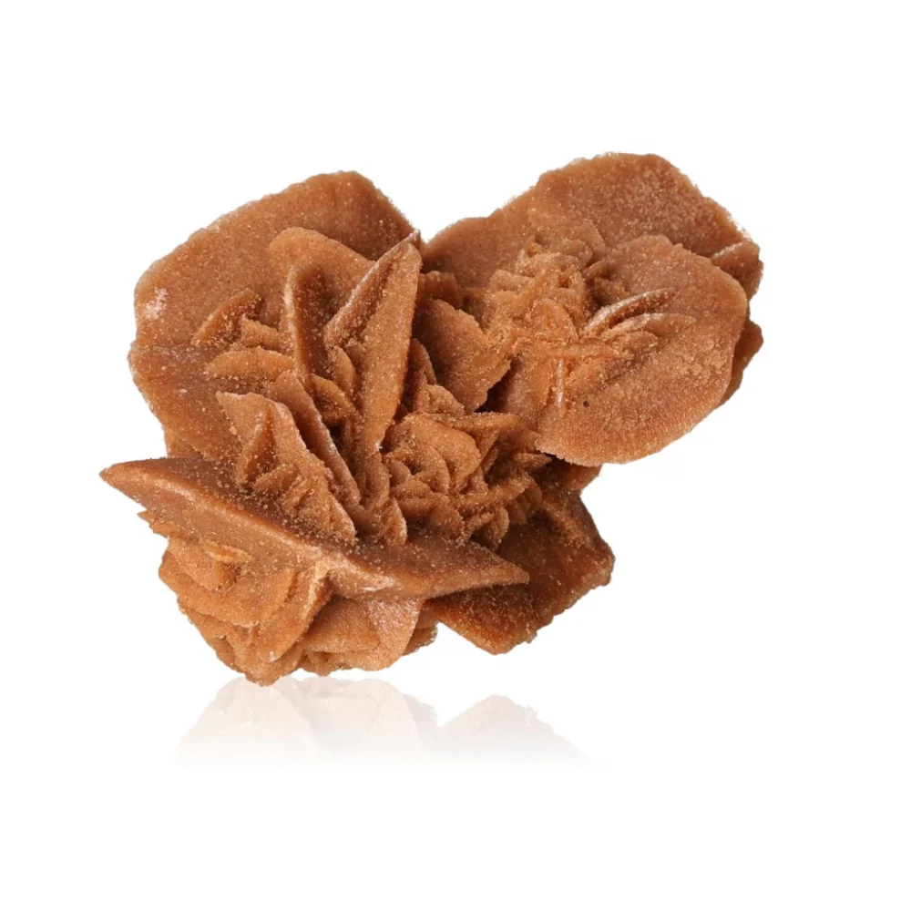 Desert Rose 526869 - Image 3