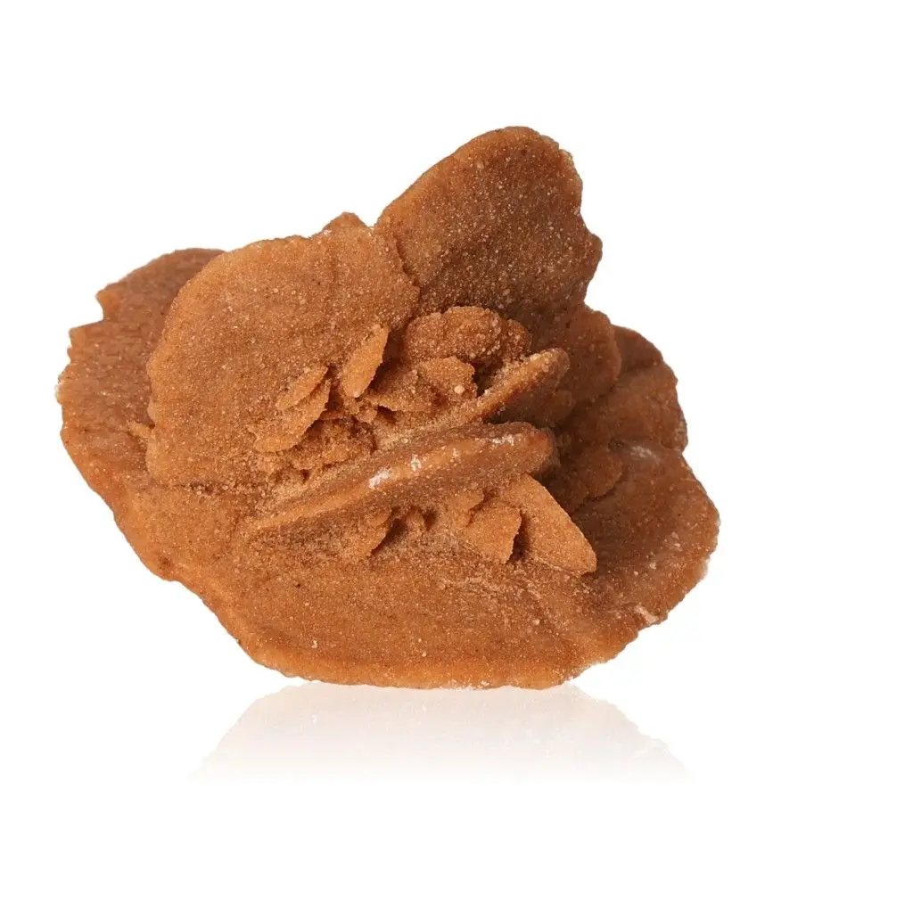 Desert Rose 527095