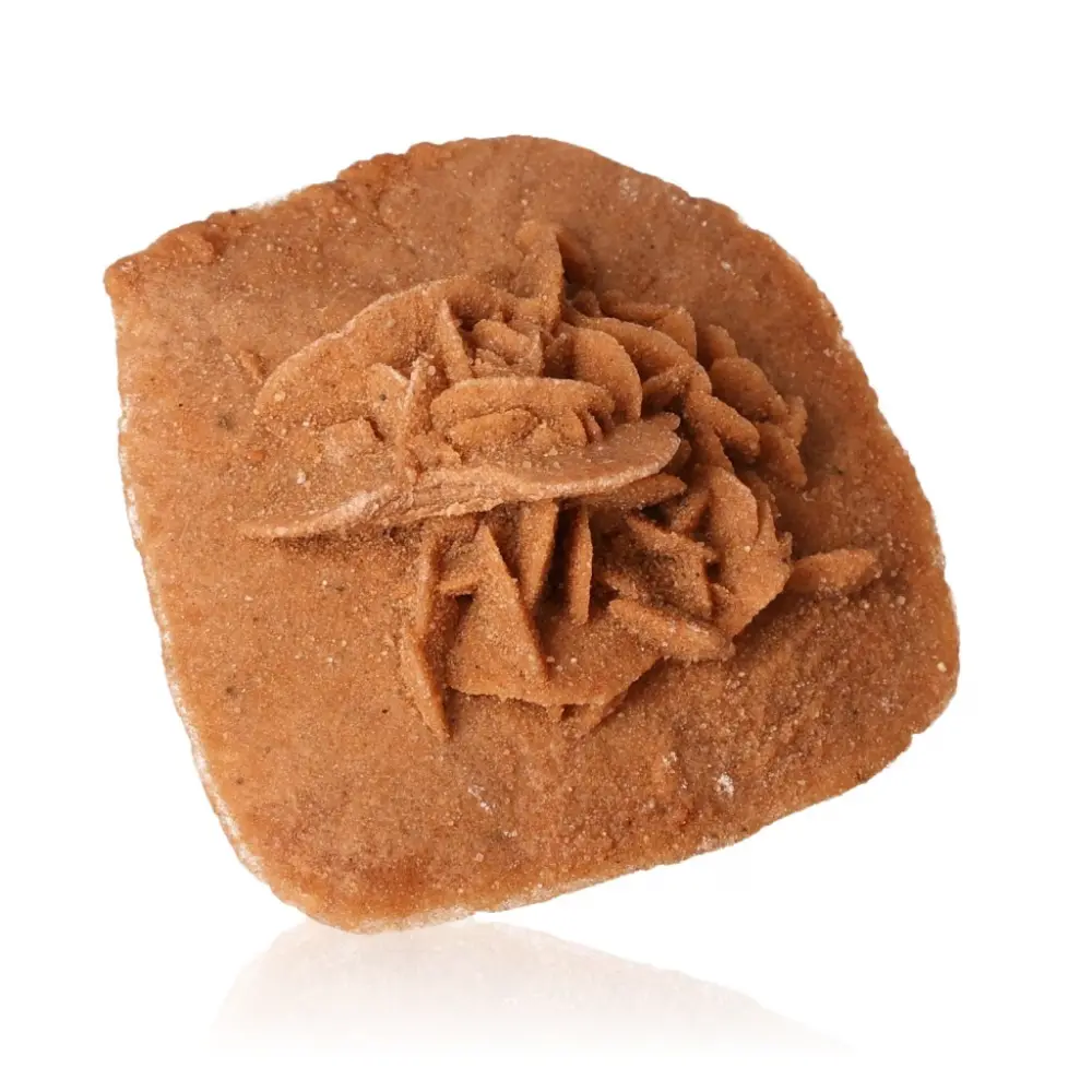 Desert Rose 527101 - Image 2