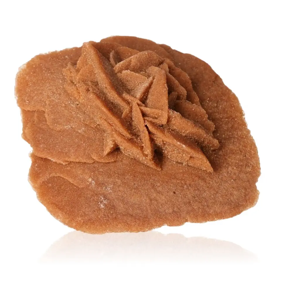 Desert Rose 527163 - Image 2