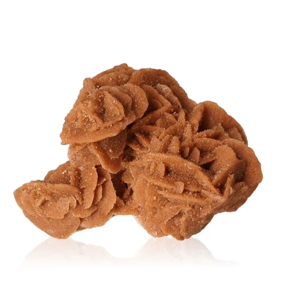 Desert Rose 526876 - Image 2