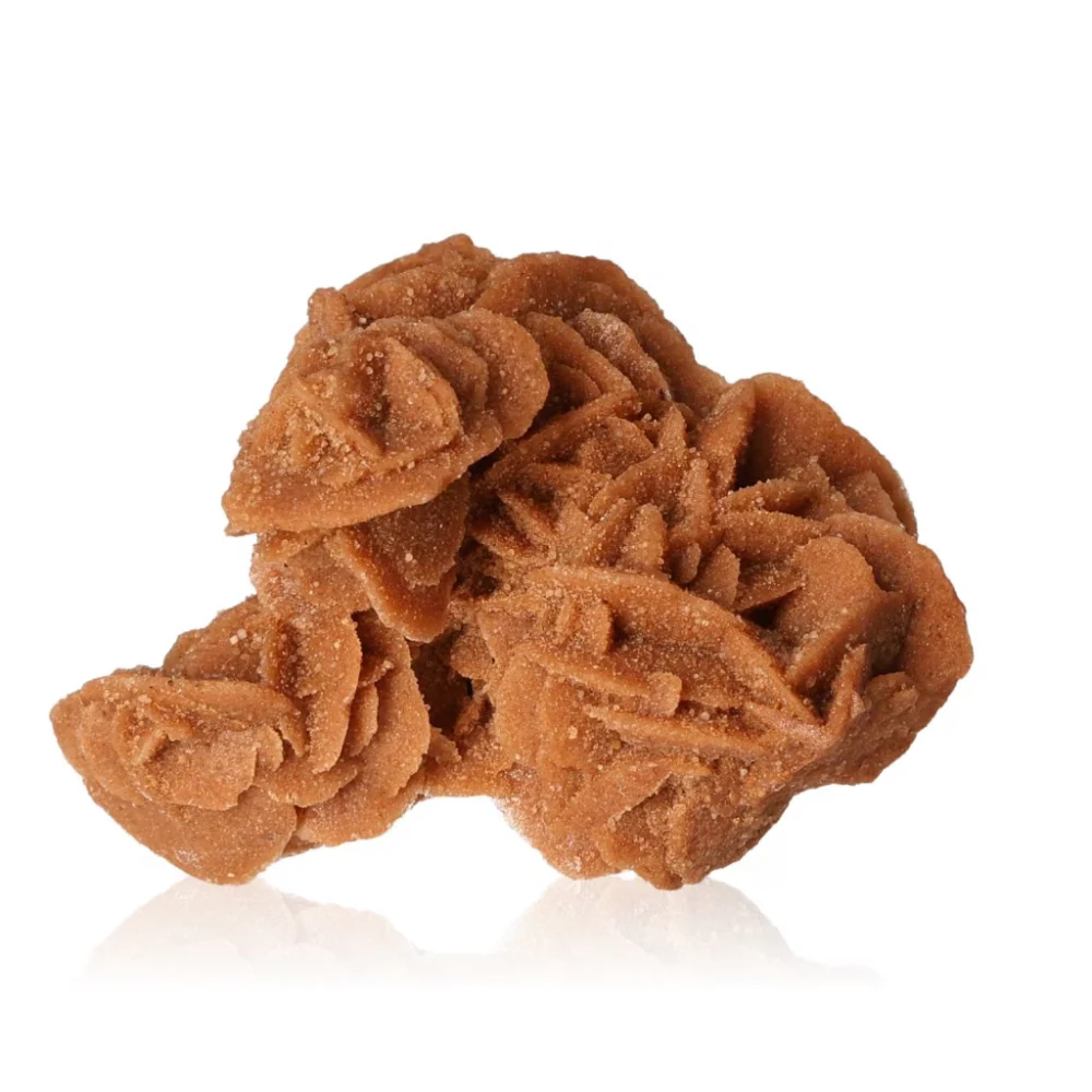 Desert Rose 526876 - Image 3