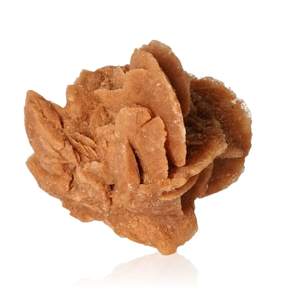 Desert Rose 527224