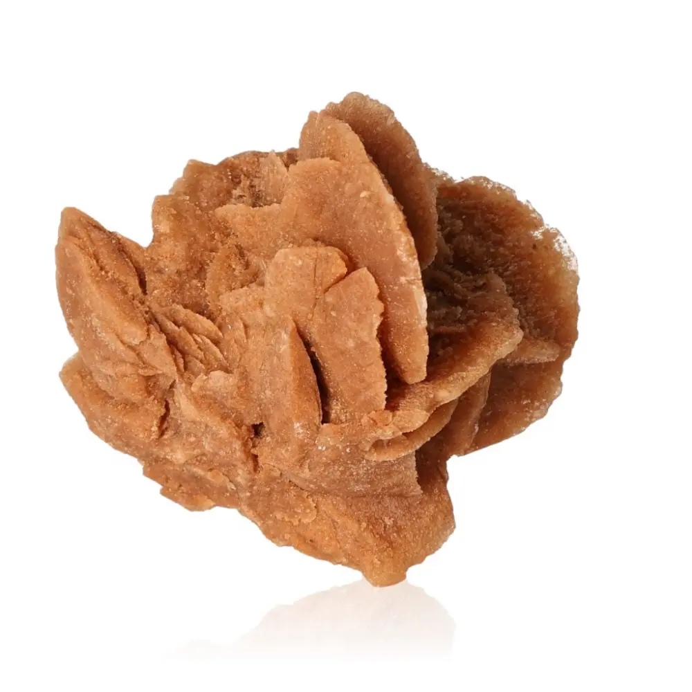 Desert Rose 527224 - Image 2