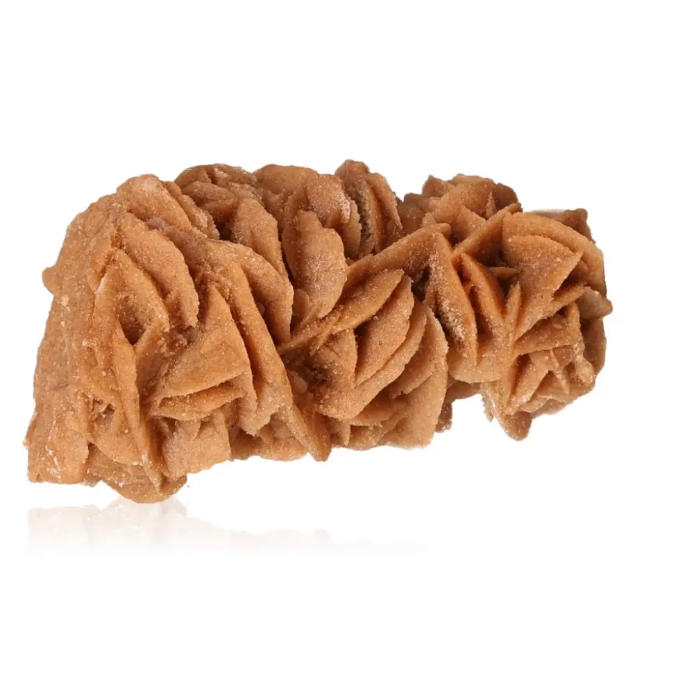 Desert Rose 527255 - Image 2