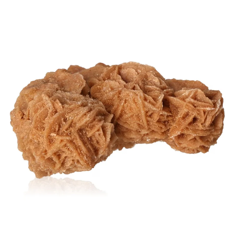 Desert Rose 527262 - Image 3