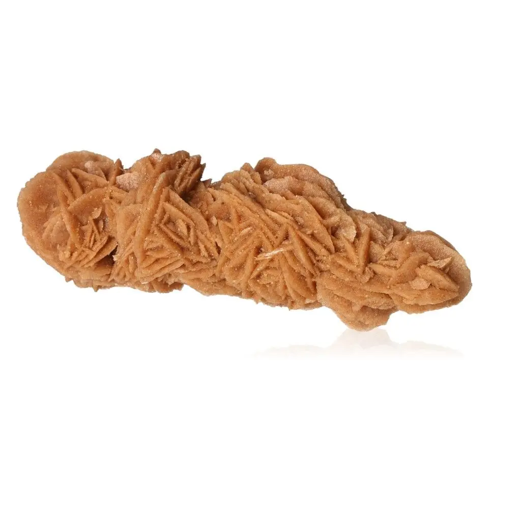 Desert Rose 527279