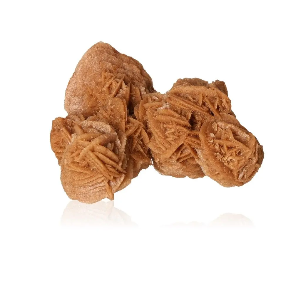 Desert Rose 527330