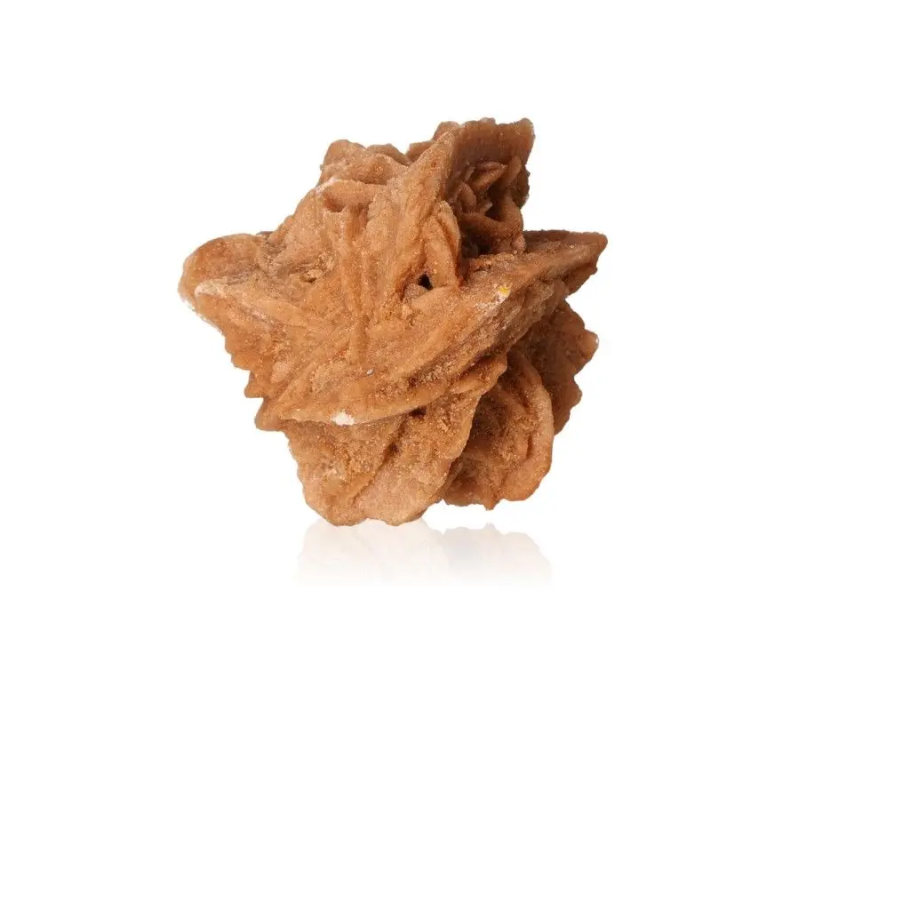 Desert Rose 527378
