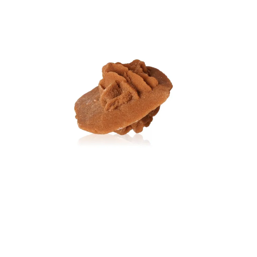 Desert Rose 527422 - Image 3