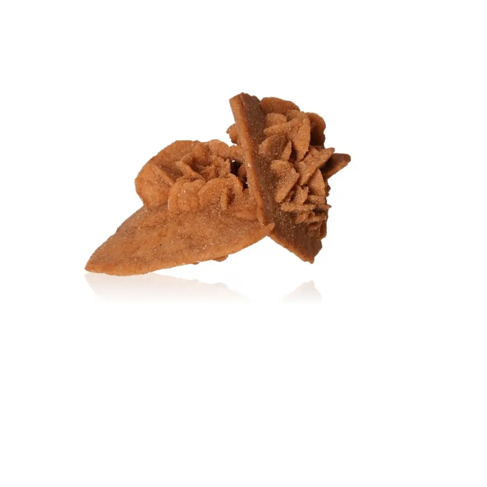 Desert Rose 527453 - Image 2