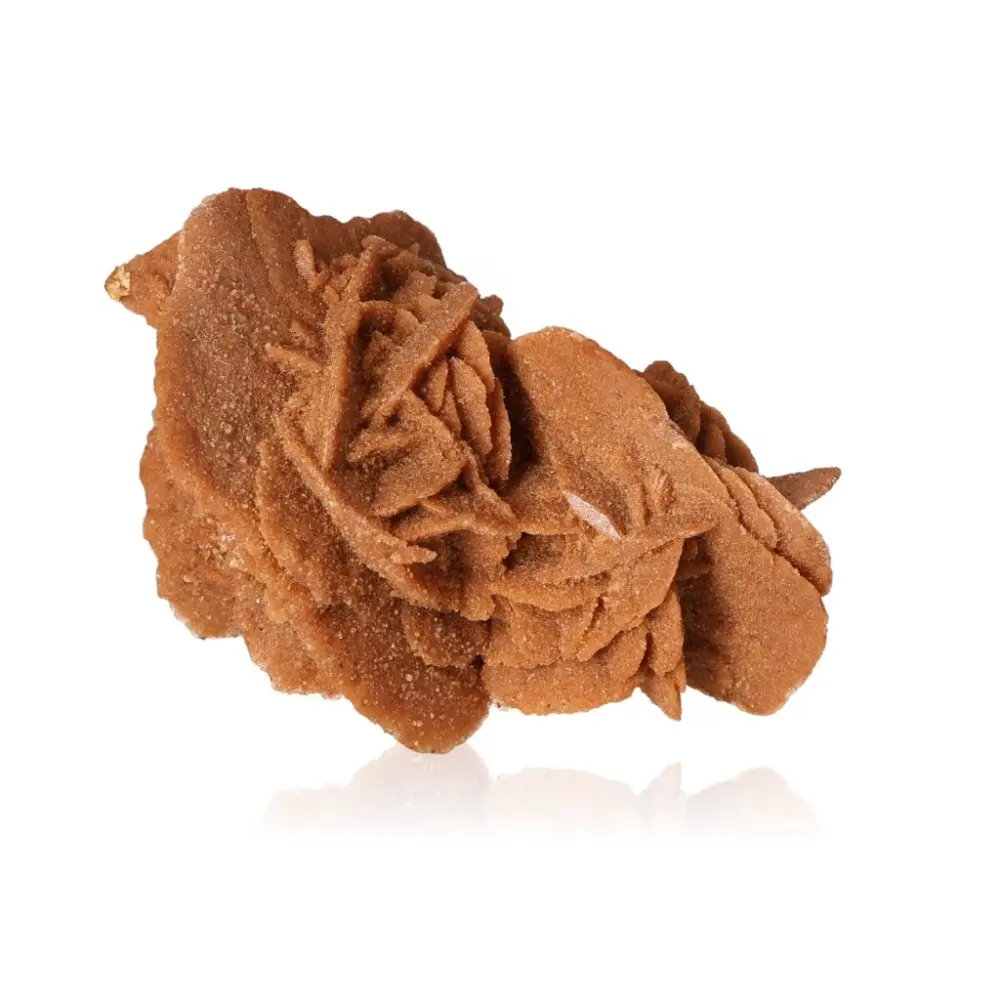 Desert Rose 527545 - Image 2