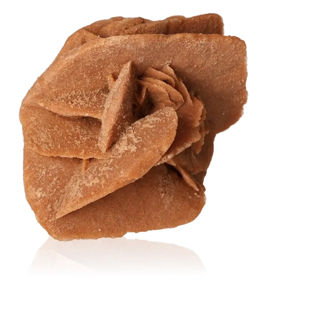 Desert Rose 527606 - Image 2