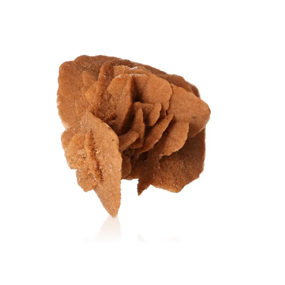 Desert Rose 527651 - Image 2