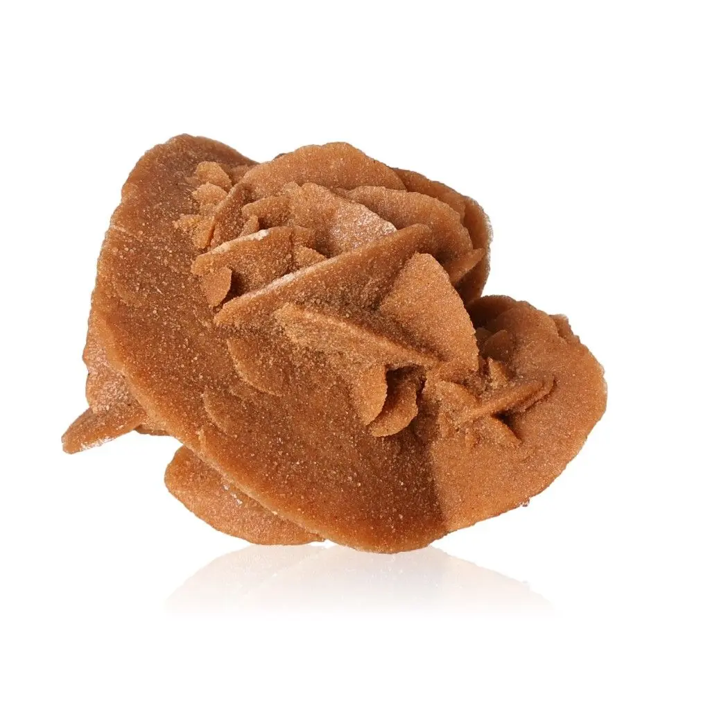Desert Rose 526920