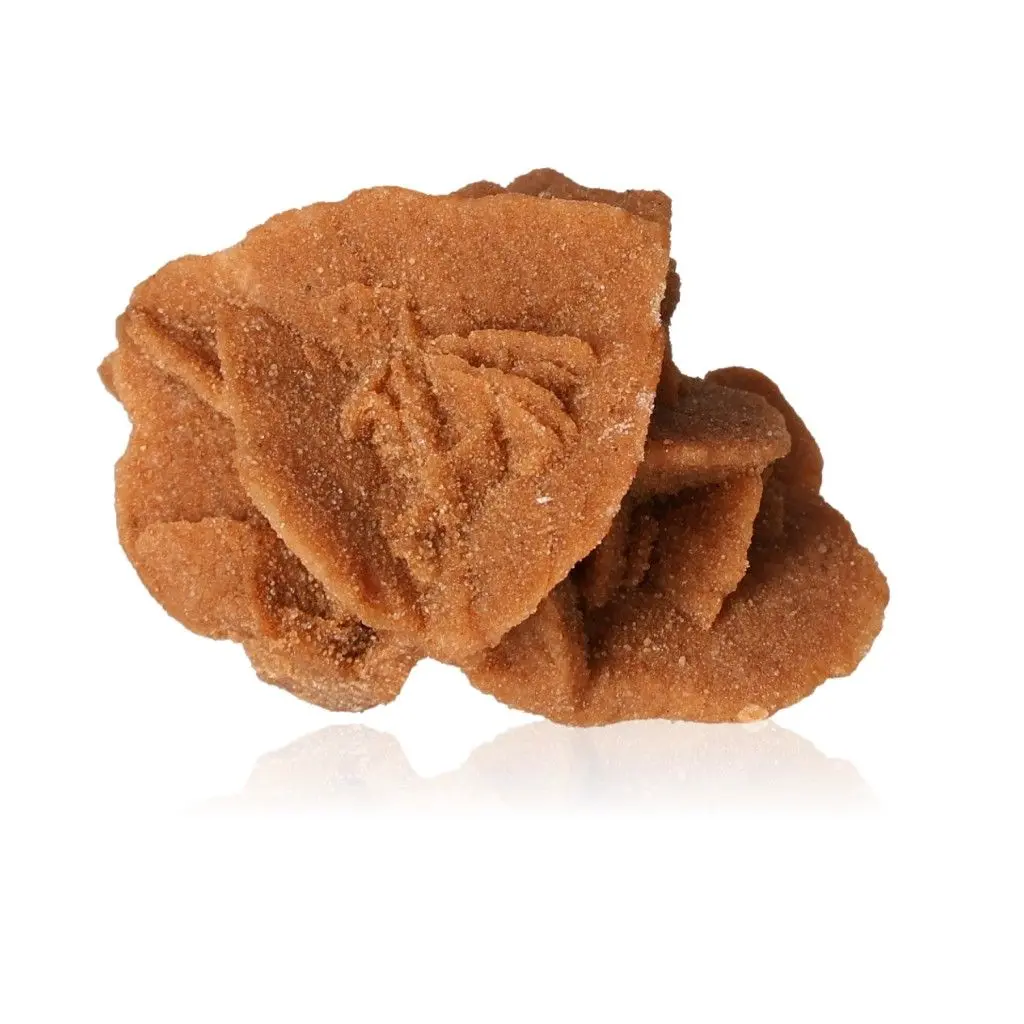 Desert Rose 526951