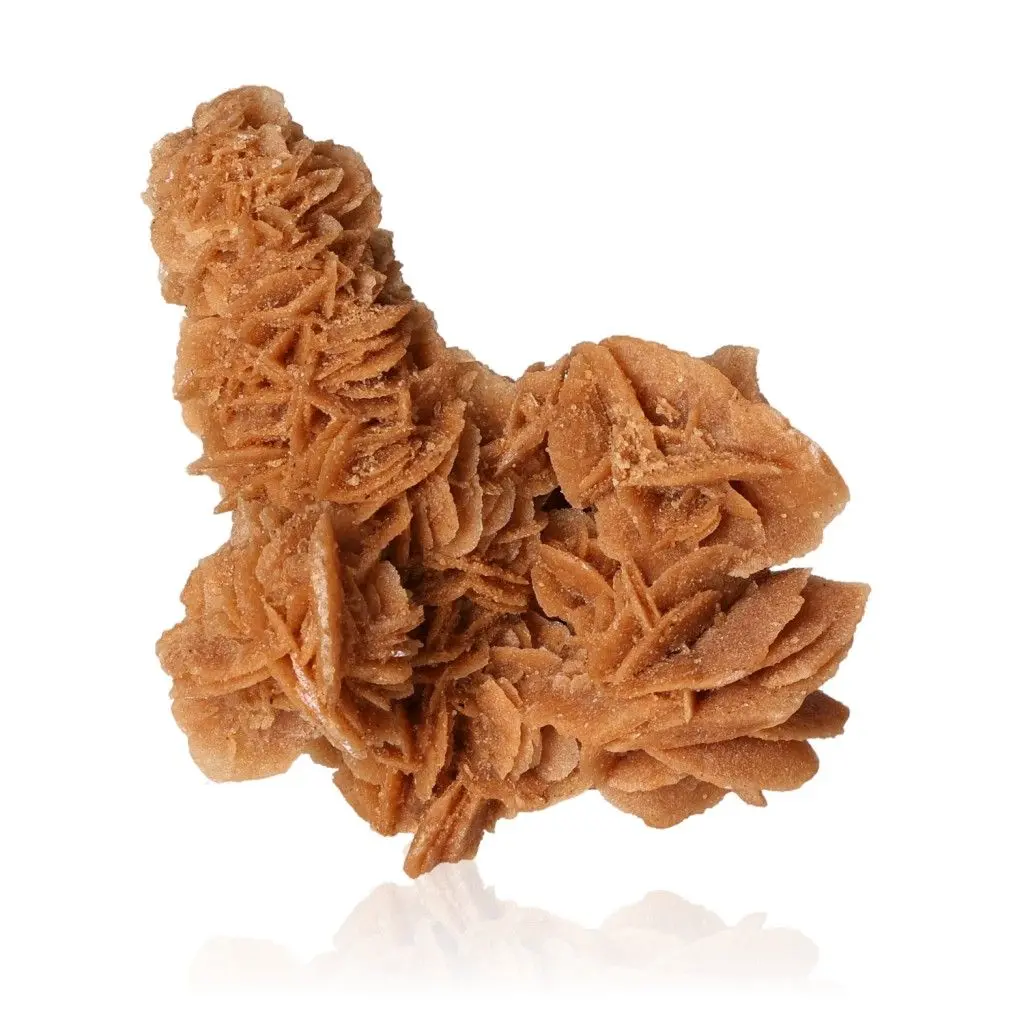 Desert Rose 527286