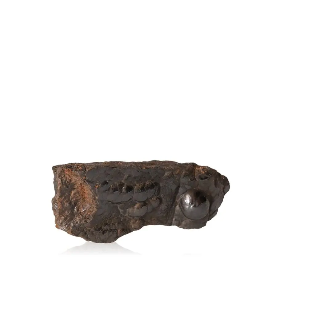 Polished Botryoidal Goethite 528795