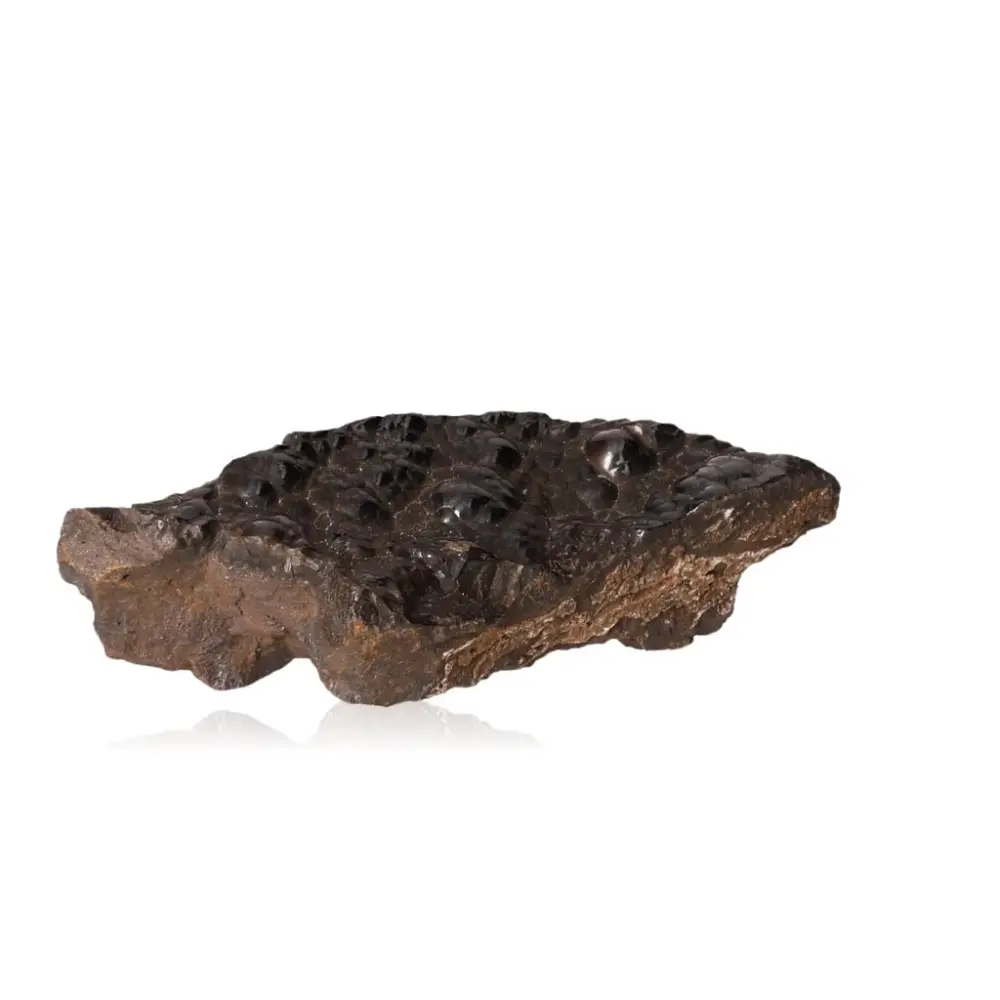 Polished Botryoidal Goethite 529051 - Image 2