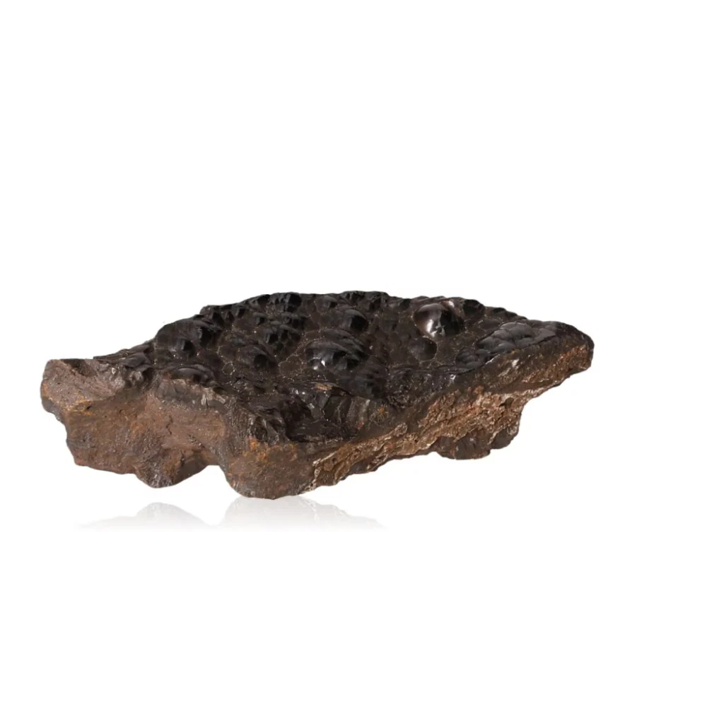 Polished Botryoidal Goethite 529051 - Image 3