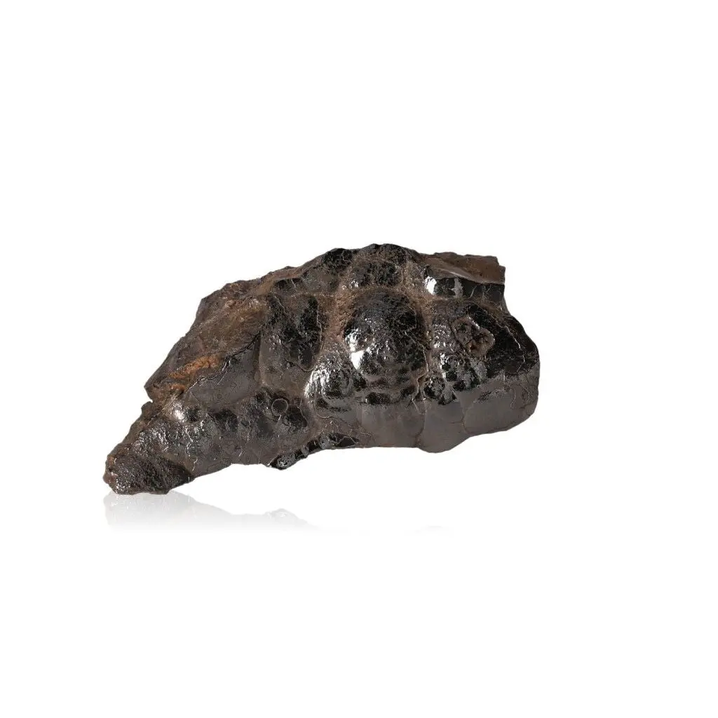 Polished Botryoidal Goethite 529082