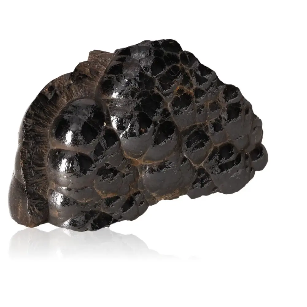Polished Botryoidal Goethite 527859 - Image 2