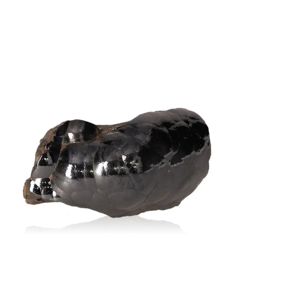Polished Botryoidal Goethite 528337