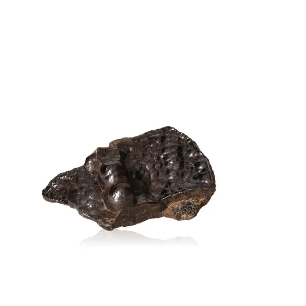 Polished Botryoidal Goethite 528528 - Image 2