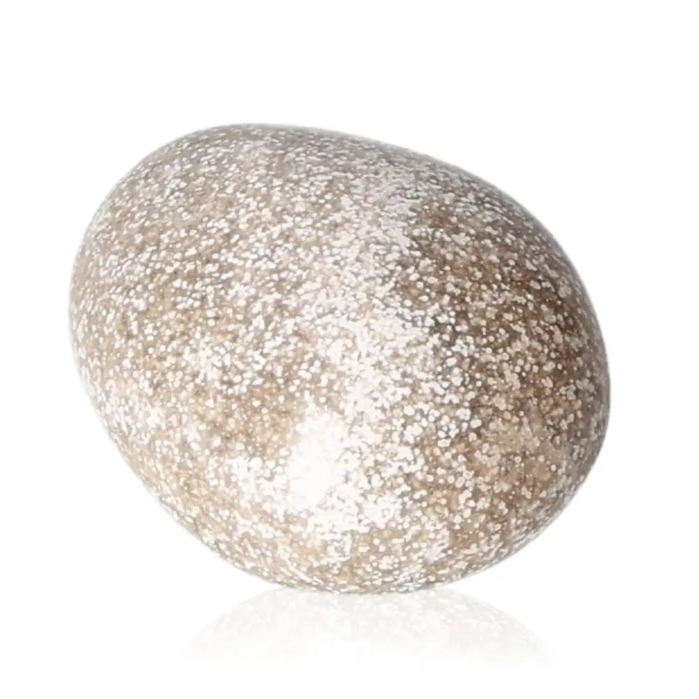 Tumbled Jasper 075107