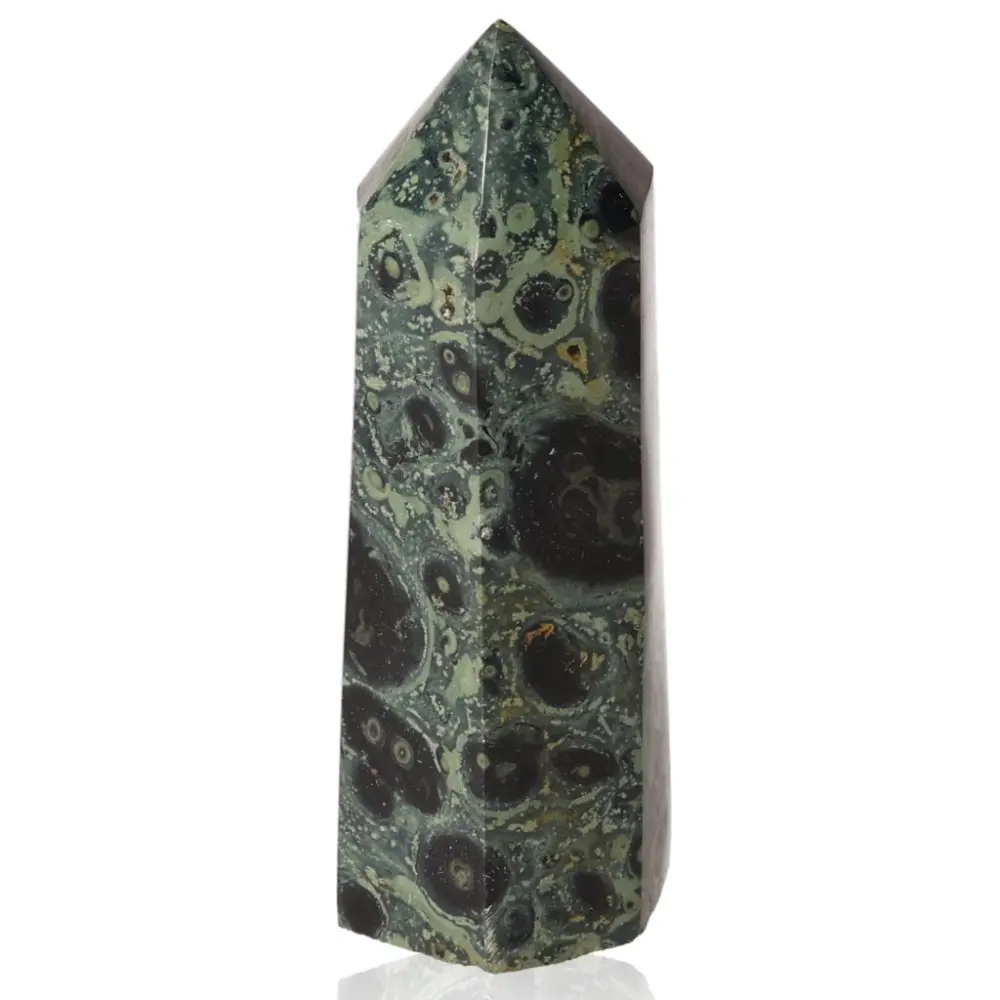 Kambaba Jasper 063456 - Image 2