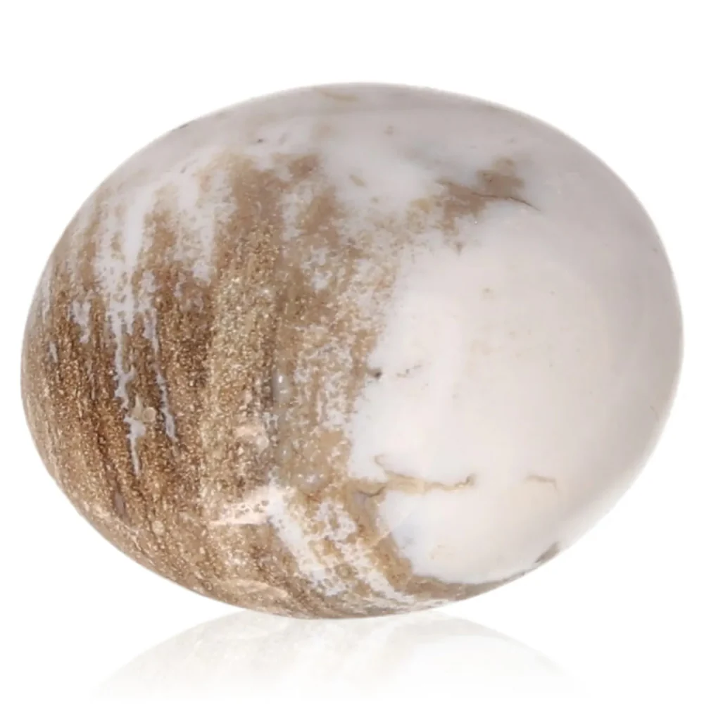Tumbled Petrified wood 075602 - Image 2
